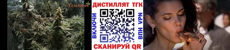 сколько стоит  Приозерск  ТГК концентрат 