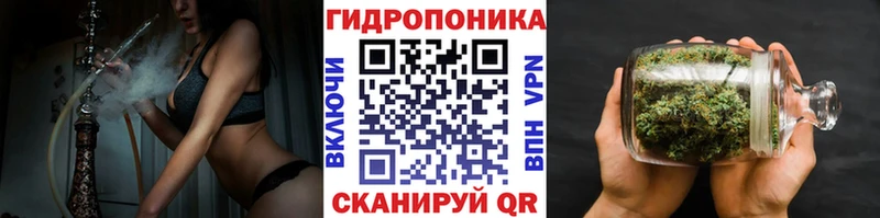 Канабис сатива  Приозерск 
